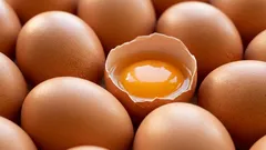 Eier richtig lagern: So bleiben sie länger frisch und das Eiweiss schön stabil